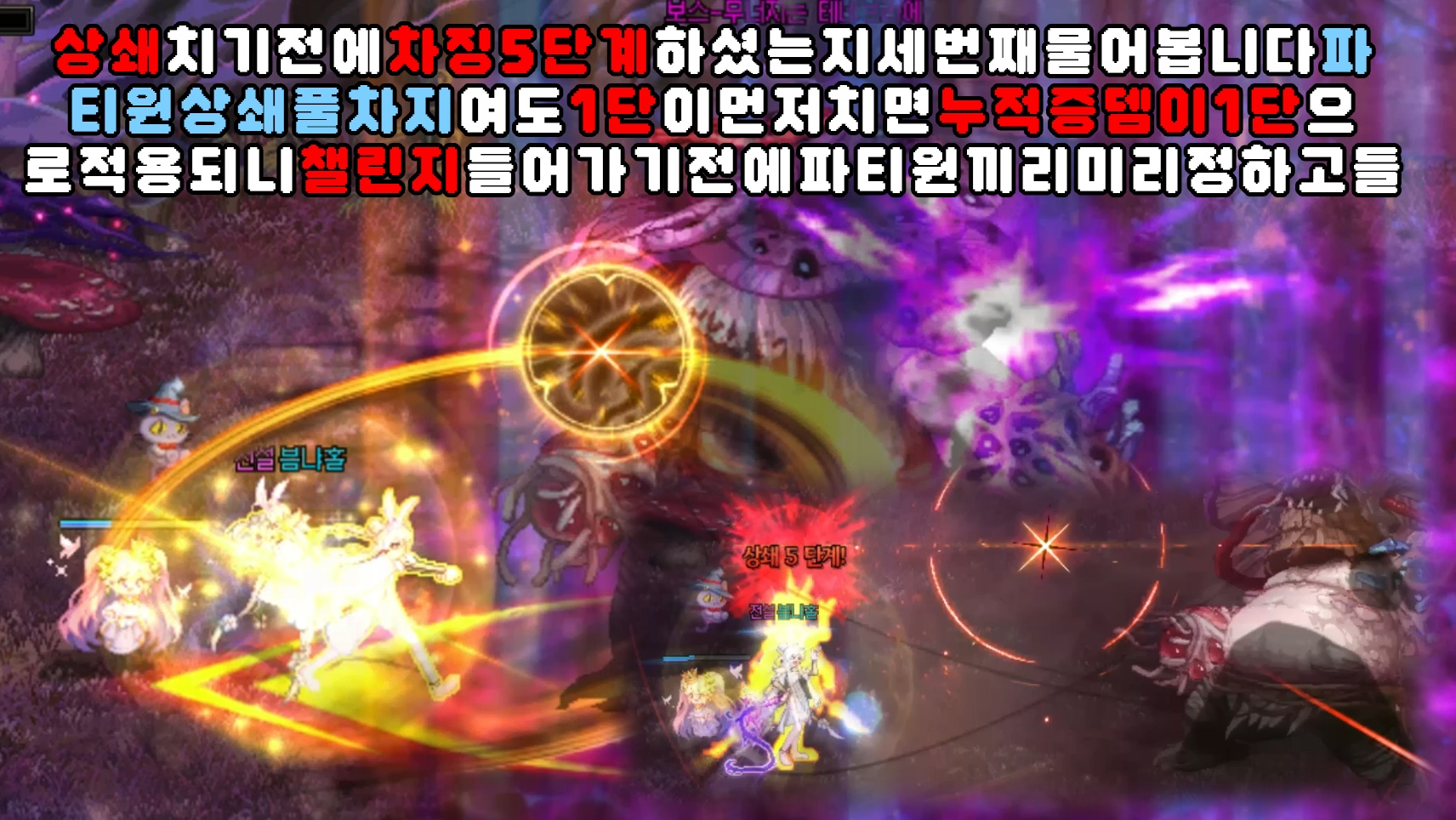 월드보스 테네브라에 핵심패턴만 보기 (라이브 서버 기준)